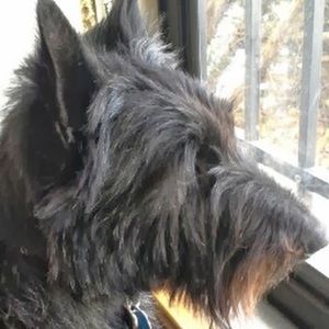 Meet your Posher, Scott